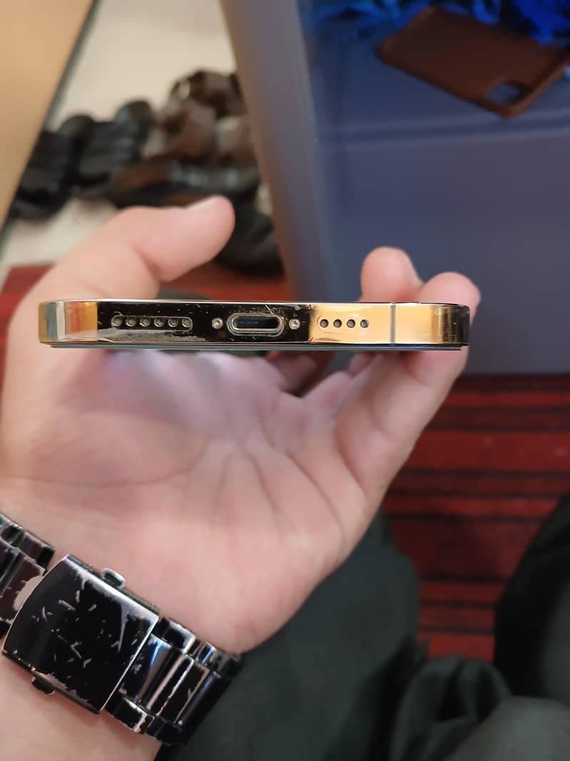 Apple iPhone 12 Pro Max 1