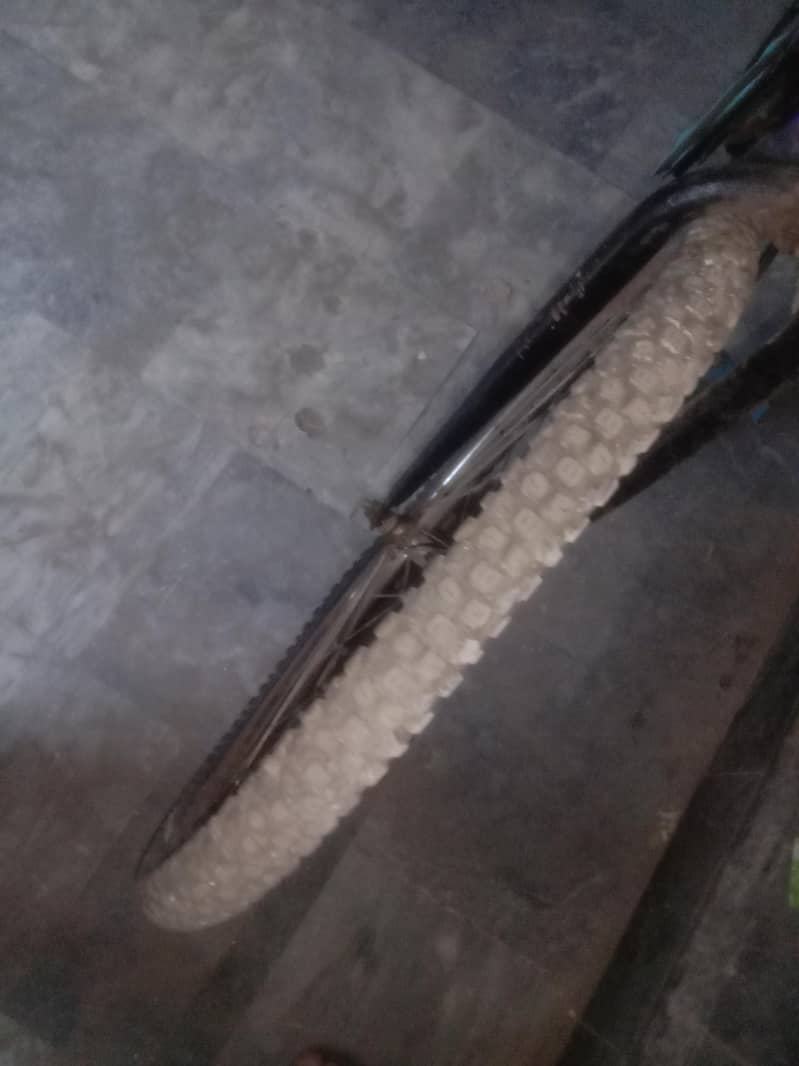 whelling cycle 1
