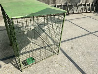 Cage beautiful and strong