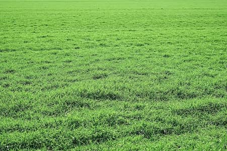 5 Marla Plot On Ideal Location Direct From Client
