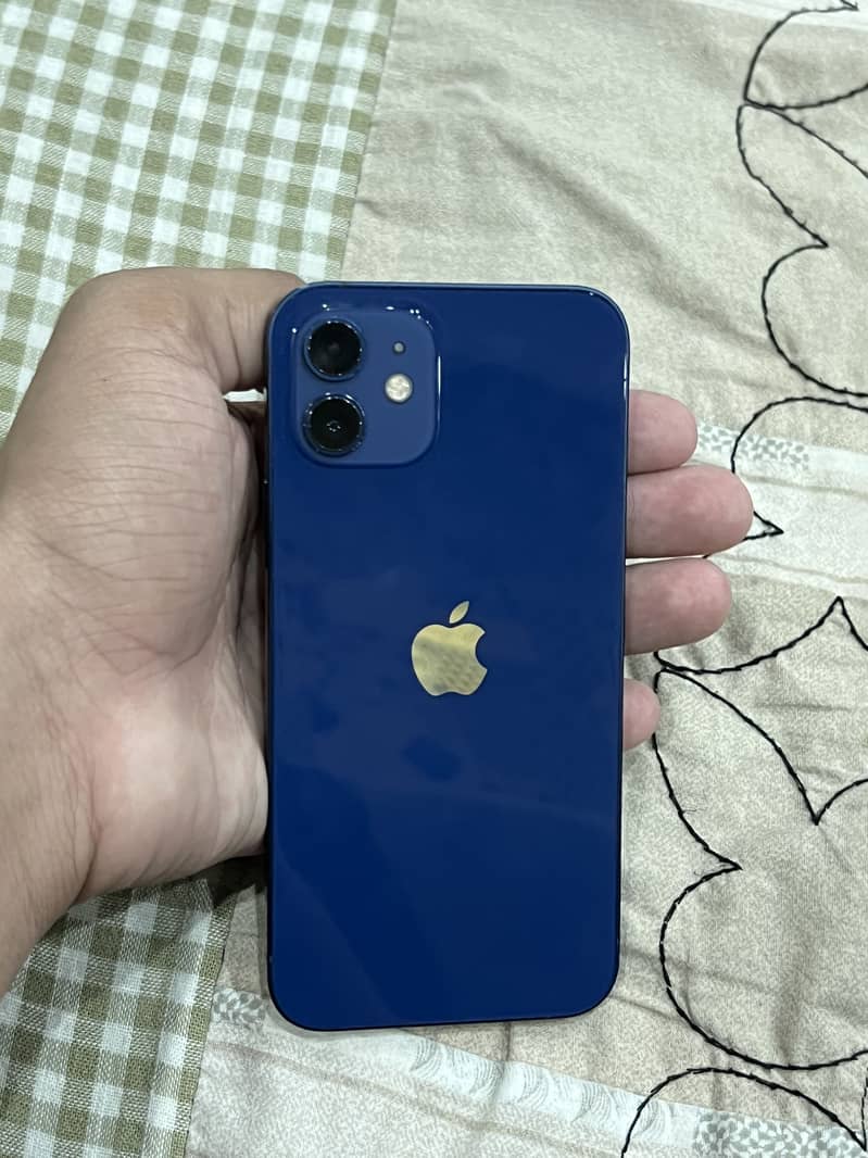 Apple iPhone 12 1