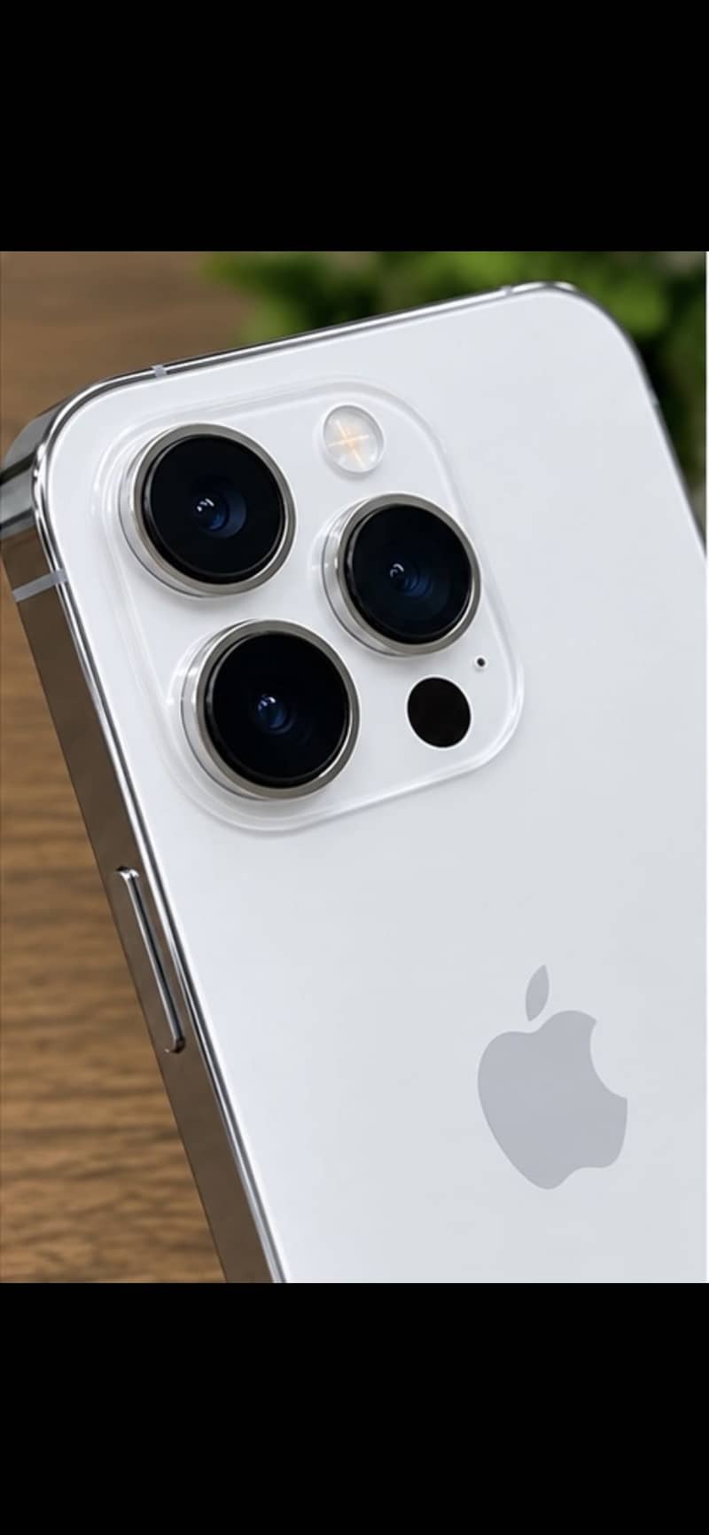 Apple iPhone 13 Pro Max 1