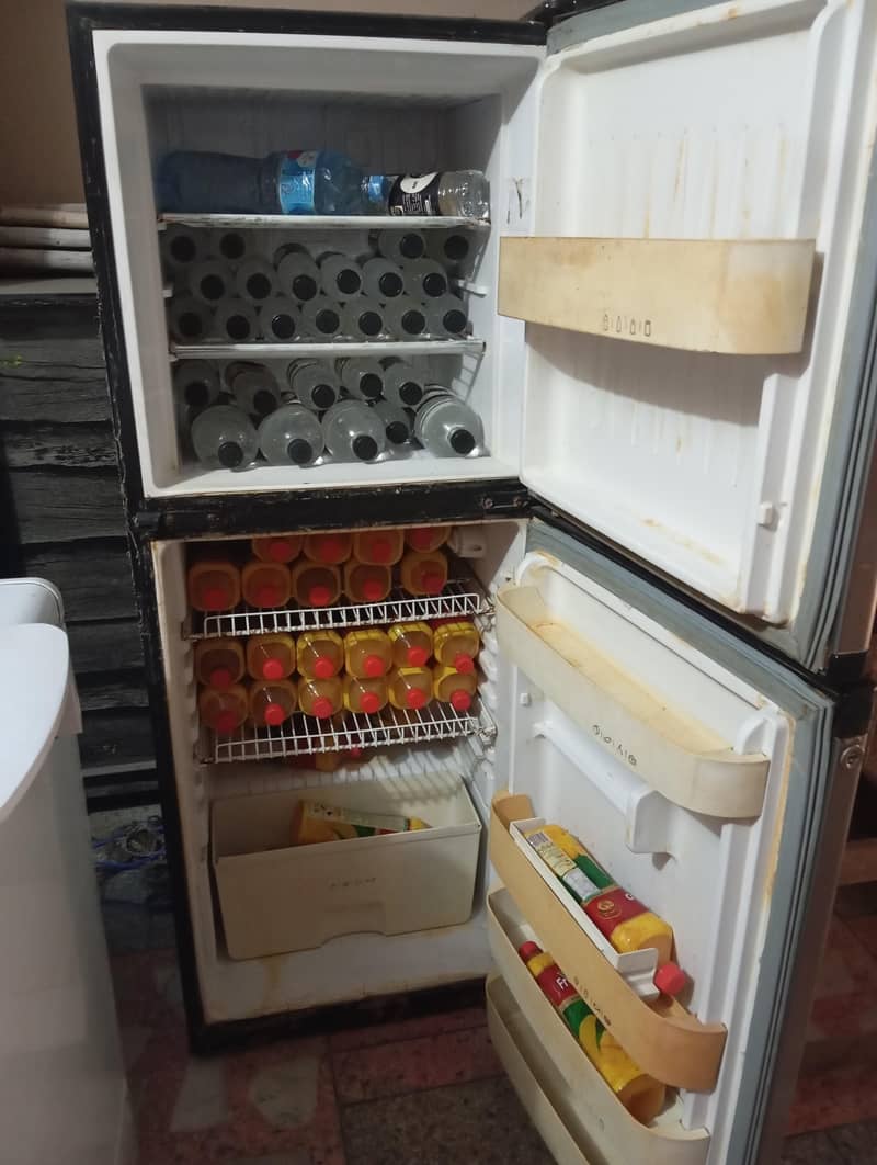 fridge 1