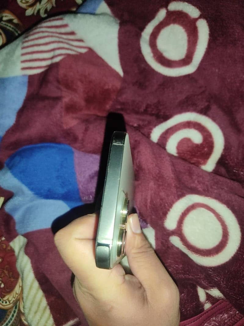 Apple iPhone 14 Pro Max 10