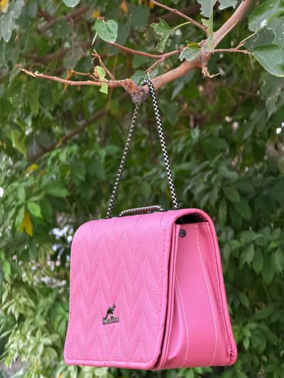 ledies hand bag