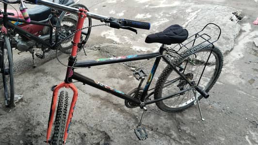 Phoenix bycycle