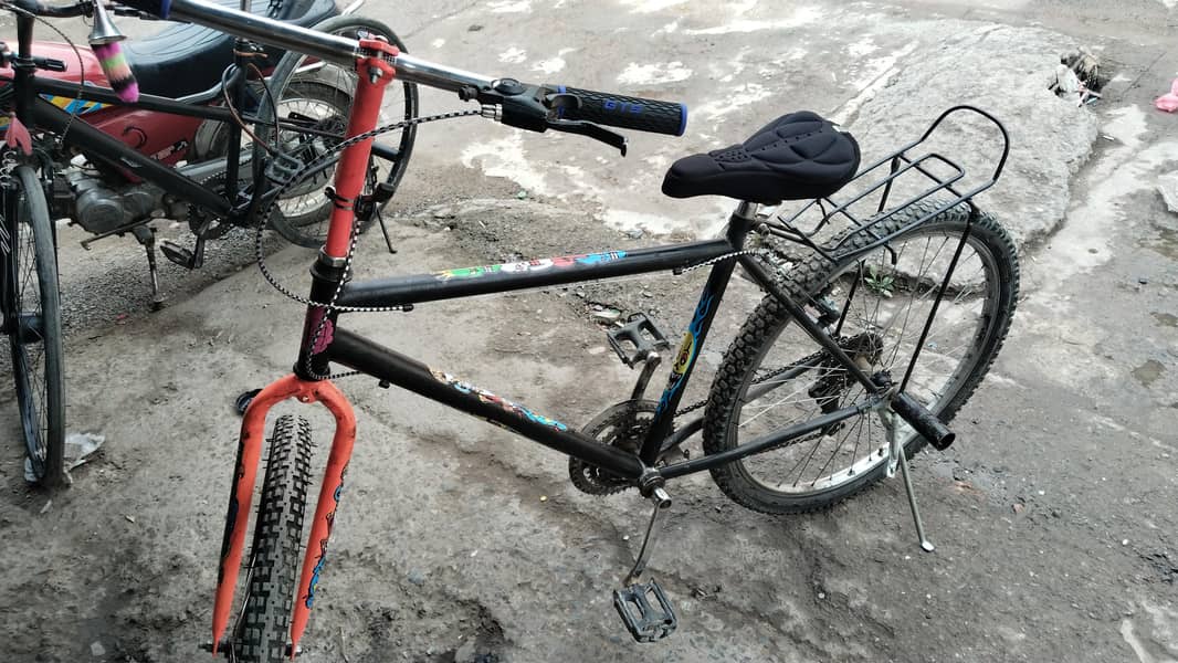 Phoenix bycycle 0