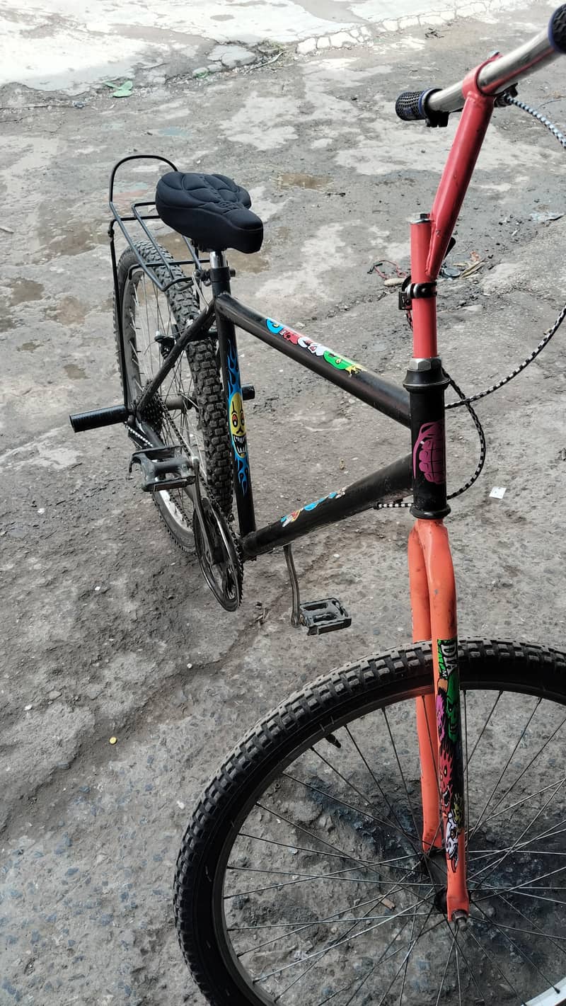 Phoenix bycycle 1