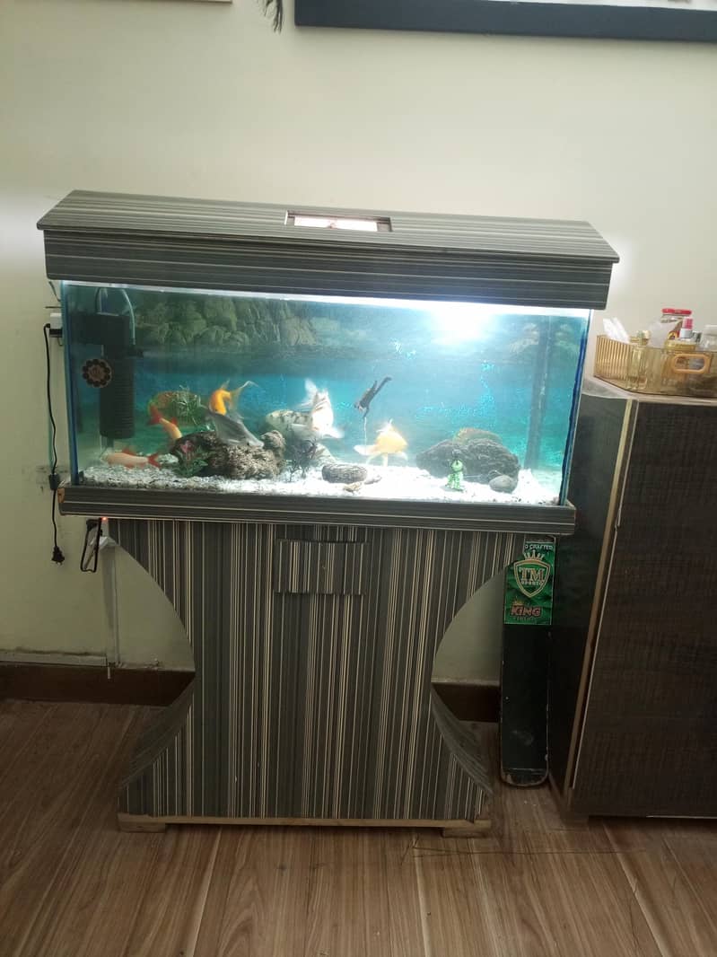 Fish & Aquarium 2