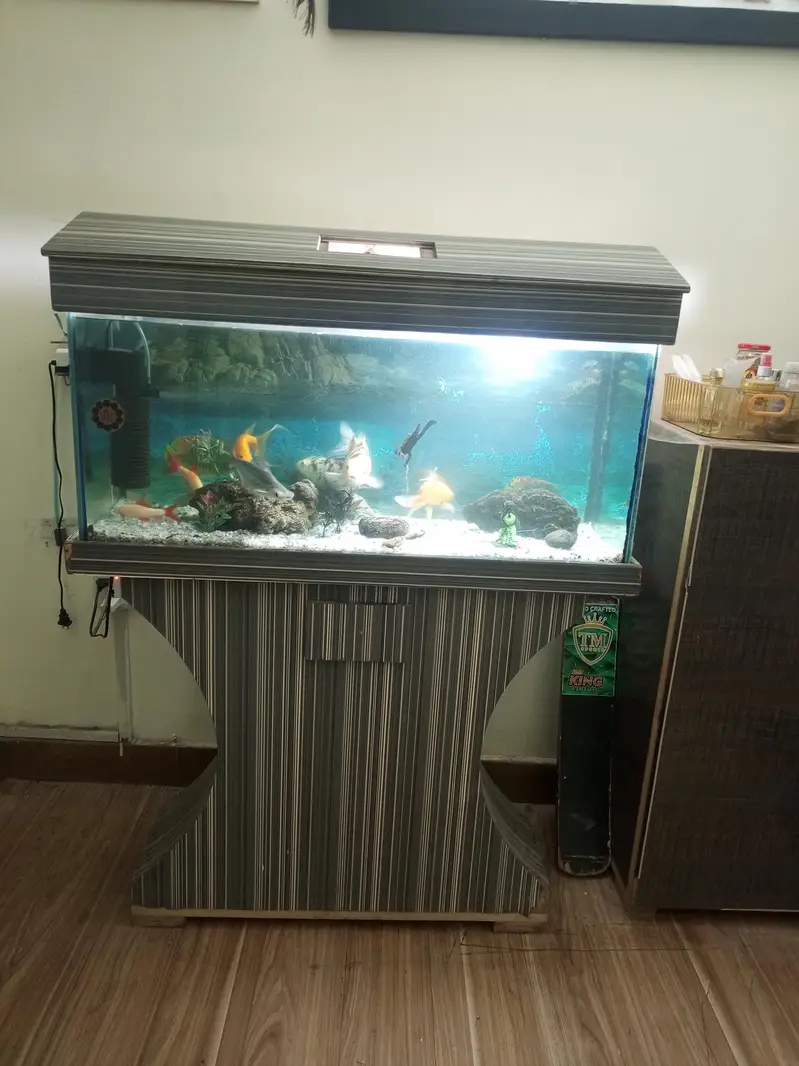Fish & Aquarium — photo 3