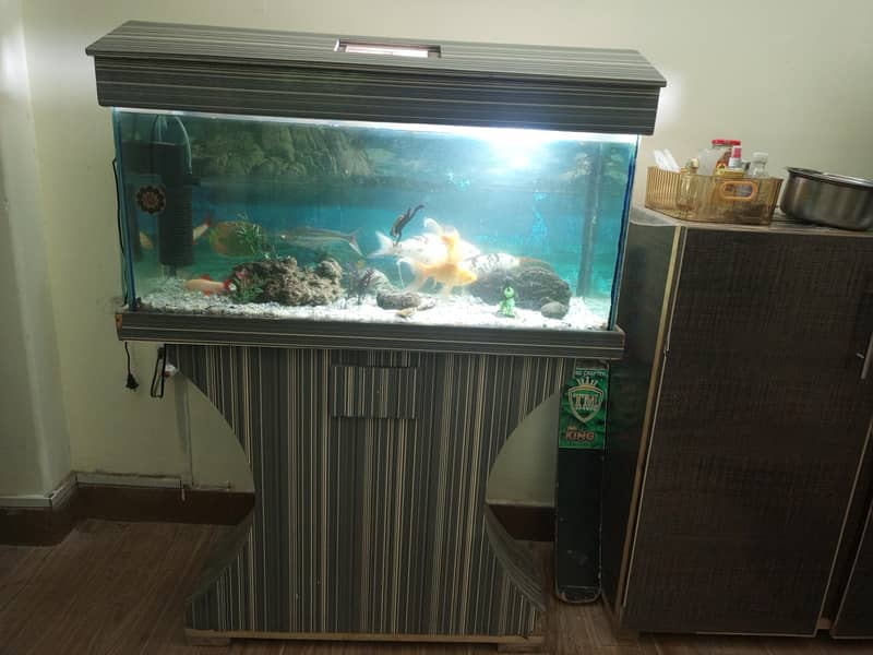Fish & Aquarium 3