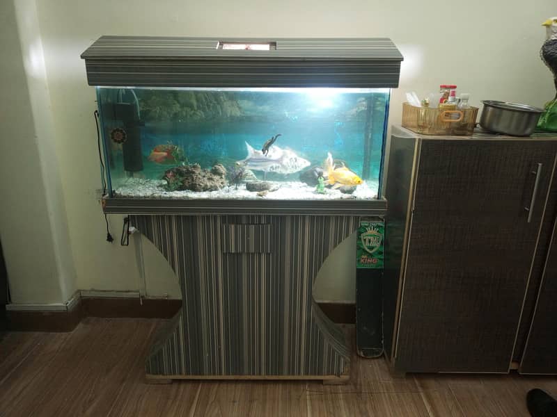 Fish & Aquarium 4