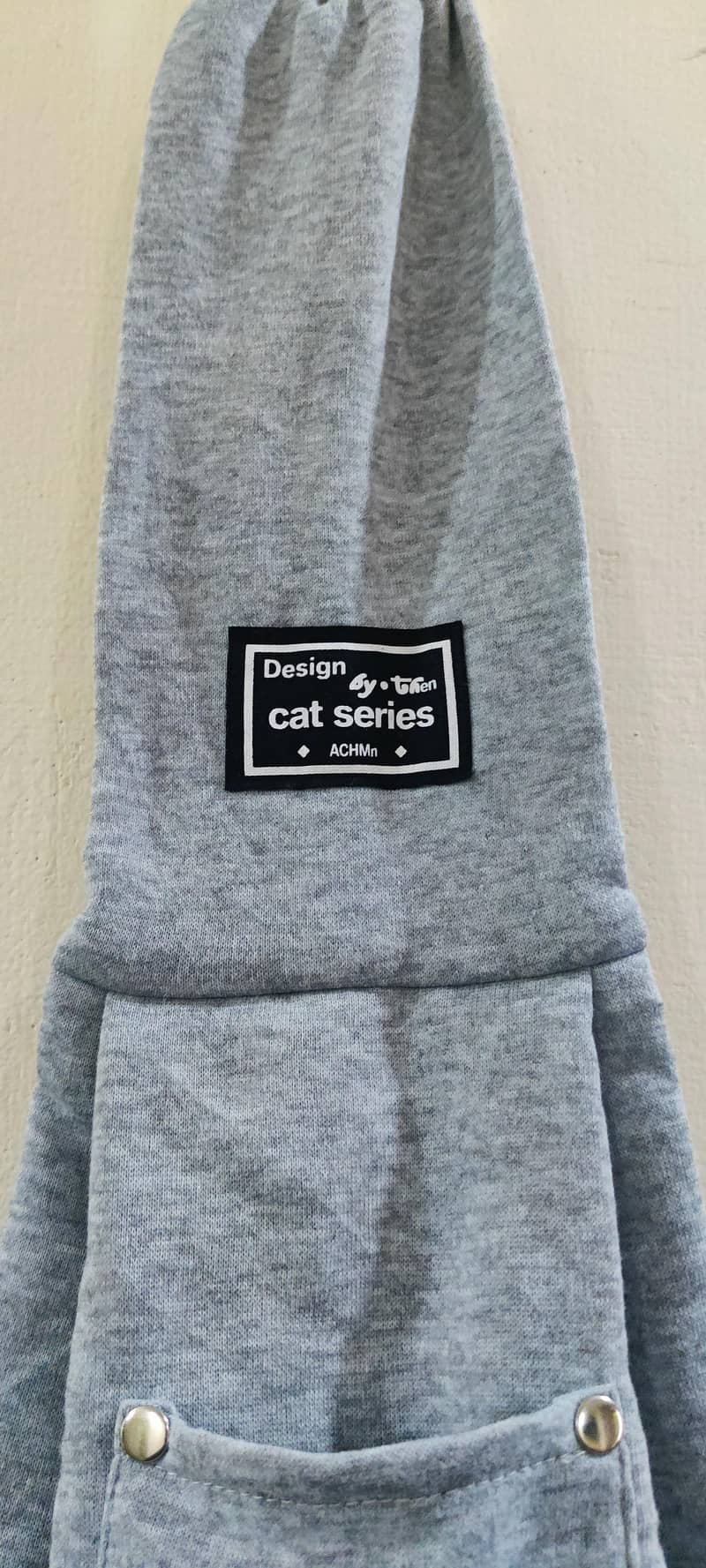 pet carrier 6