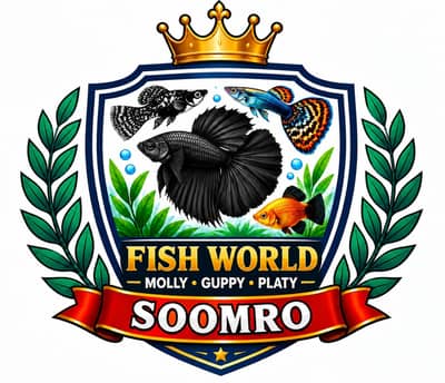 healthy and active fish