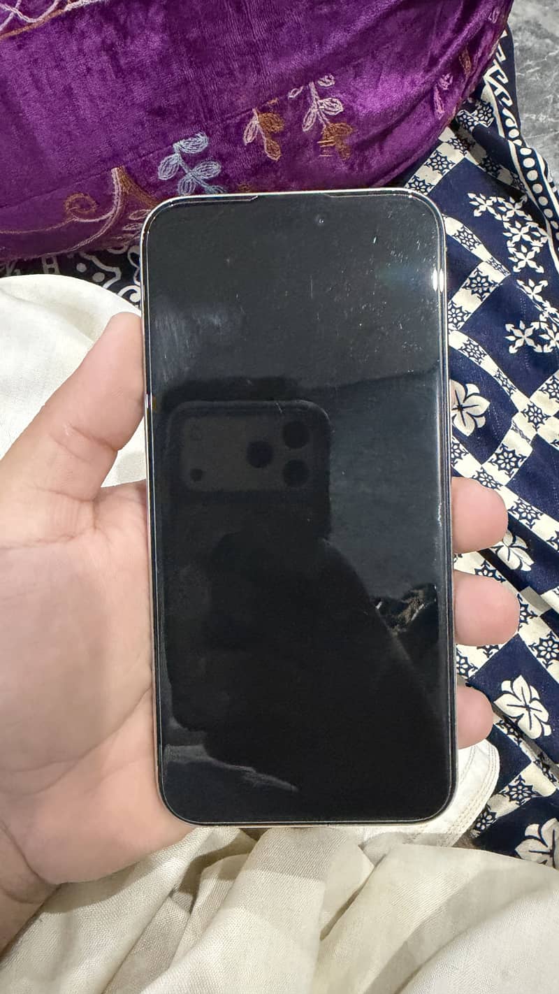 Apple iPhone 15 Pro Max 1