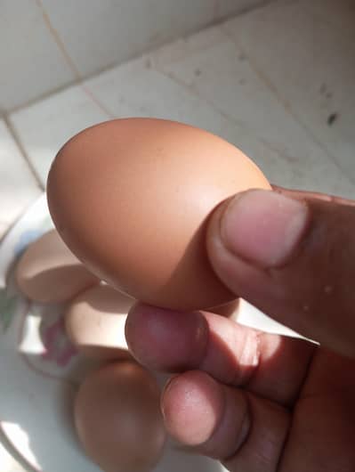 Pure Desi Egg 6 pcs