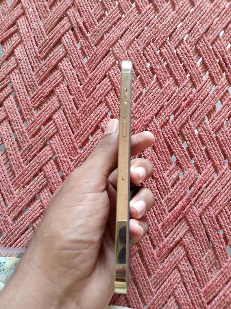 Apple iPhone 12 Pro Max 1