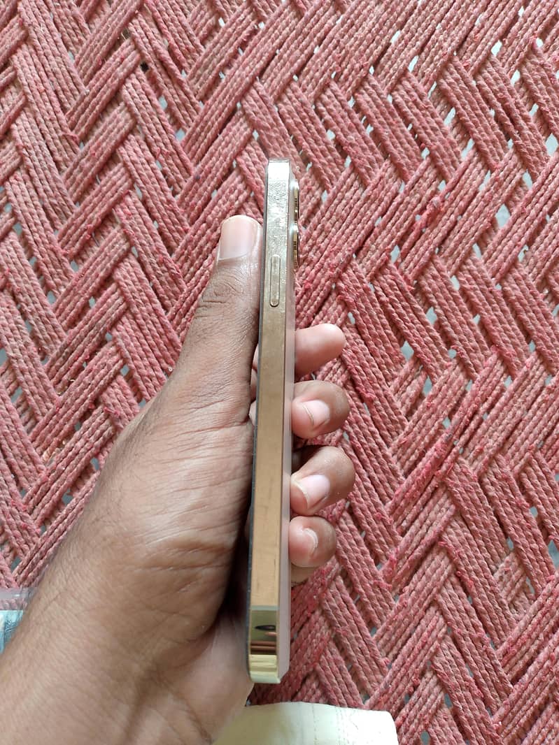 Apple iPhone 12 Pro Max 2