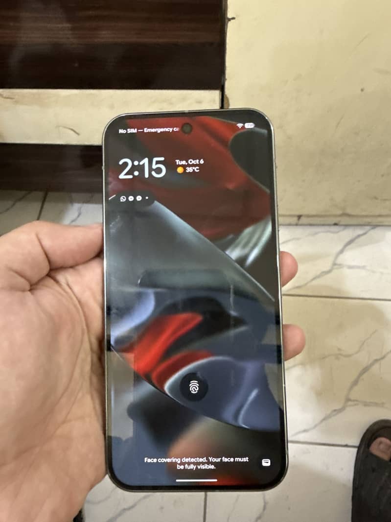 Google Pixel 9 Pro XL 1