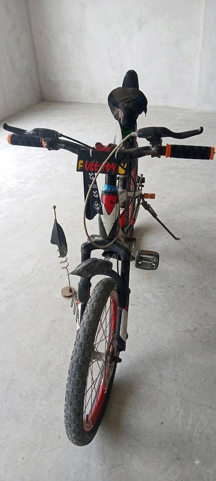 Cycle 1