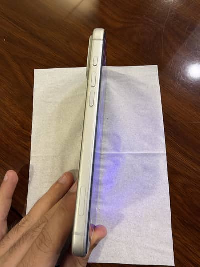 iPhone 17 Pro Max — Silver | 256GB
