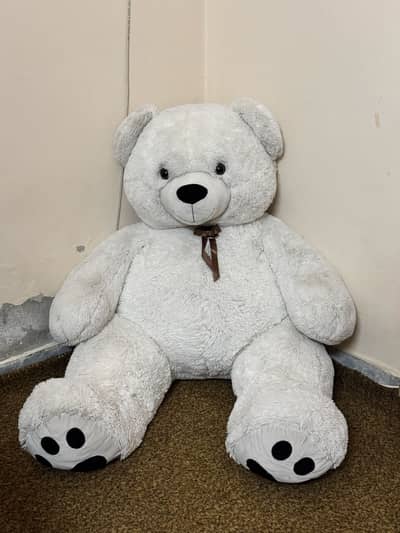 6 feet and 5 feet Teddy Bear