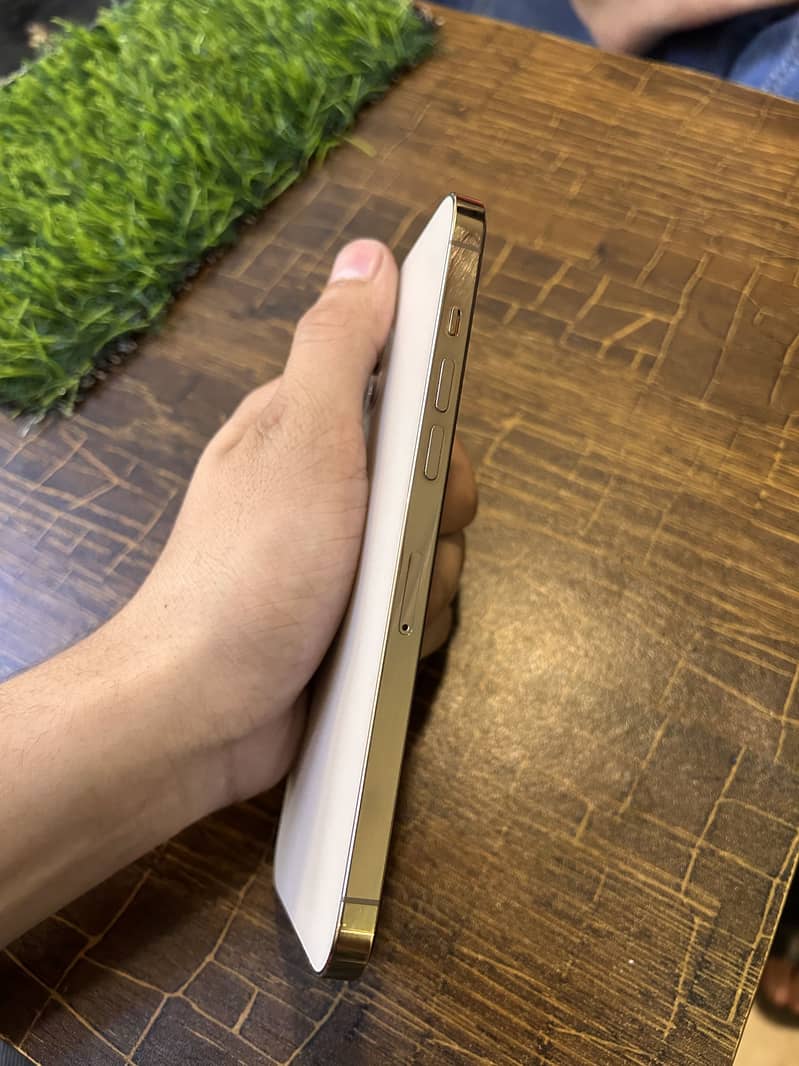 Apple iPhone 12 Pro Max 1