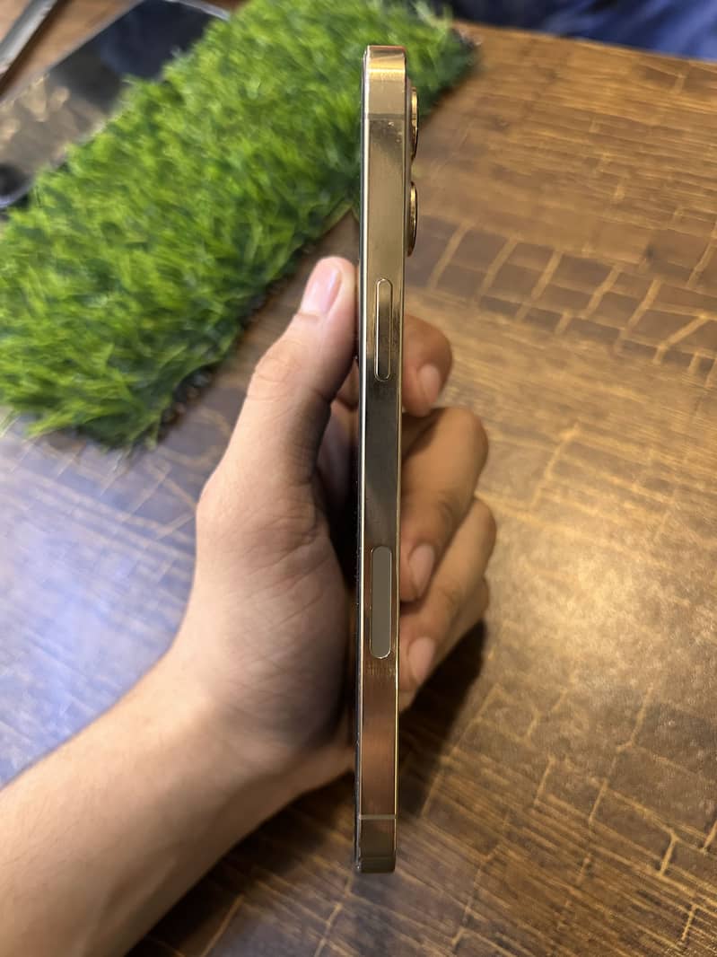 Apple iPhone 12 Pro Max 2