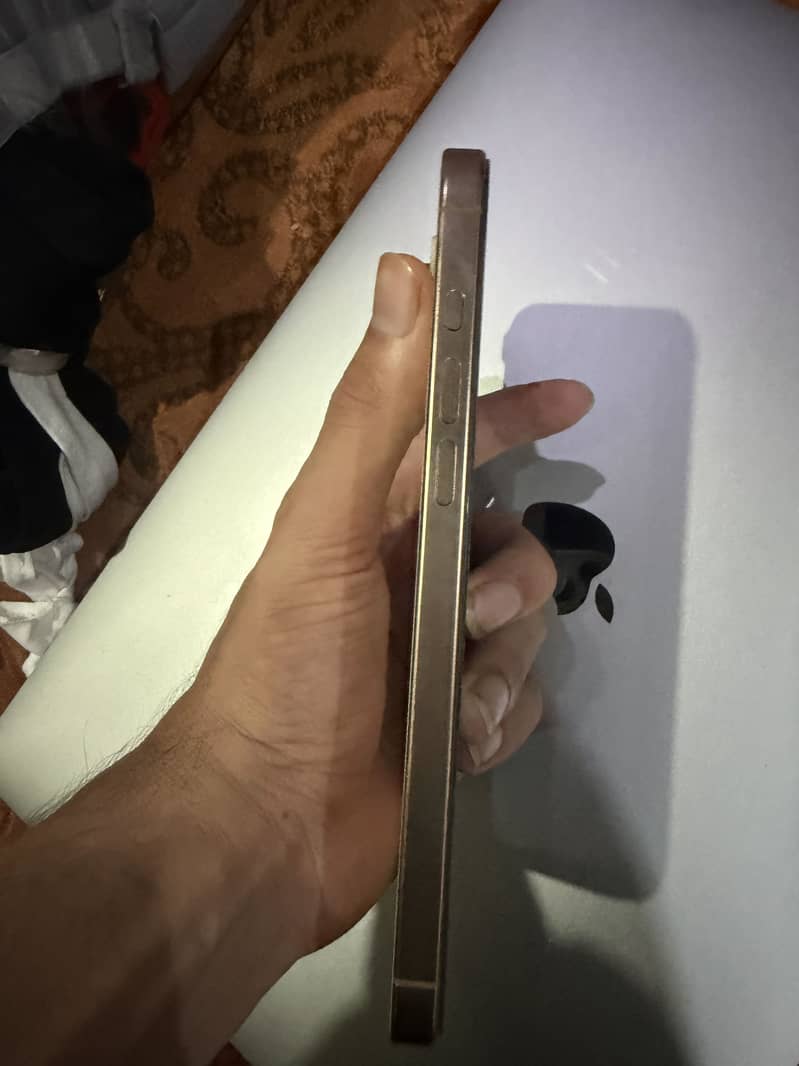 Apple iPhone 16 Pro Max 2