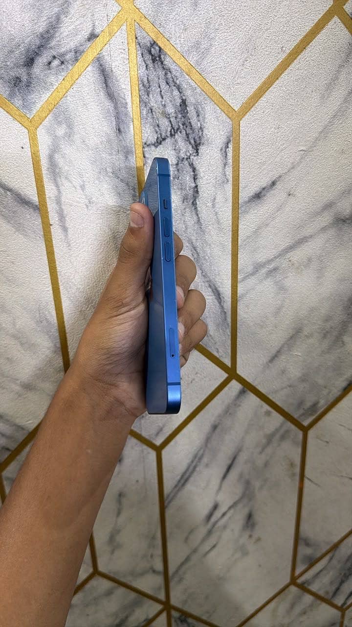 Apple iPhone 13 0