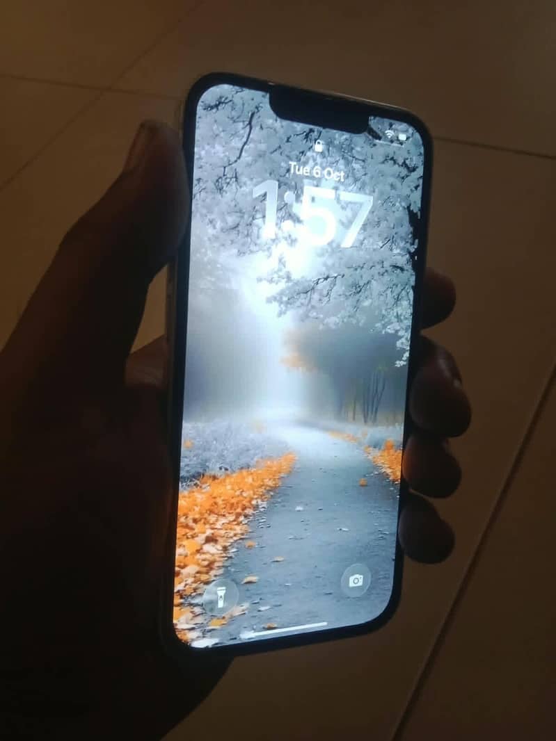 Apple iPhone 13 4