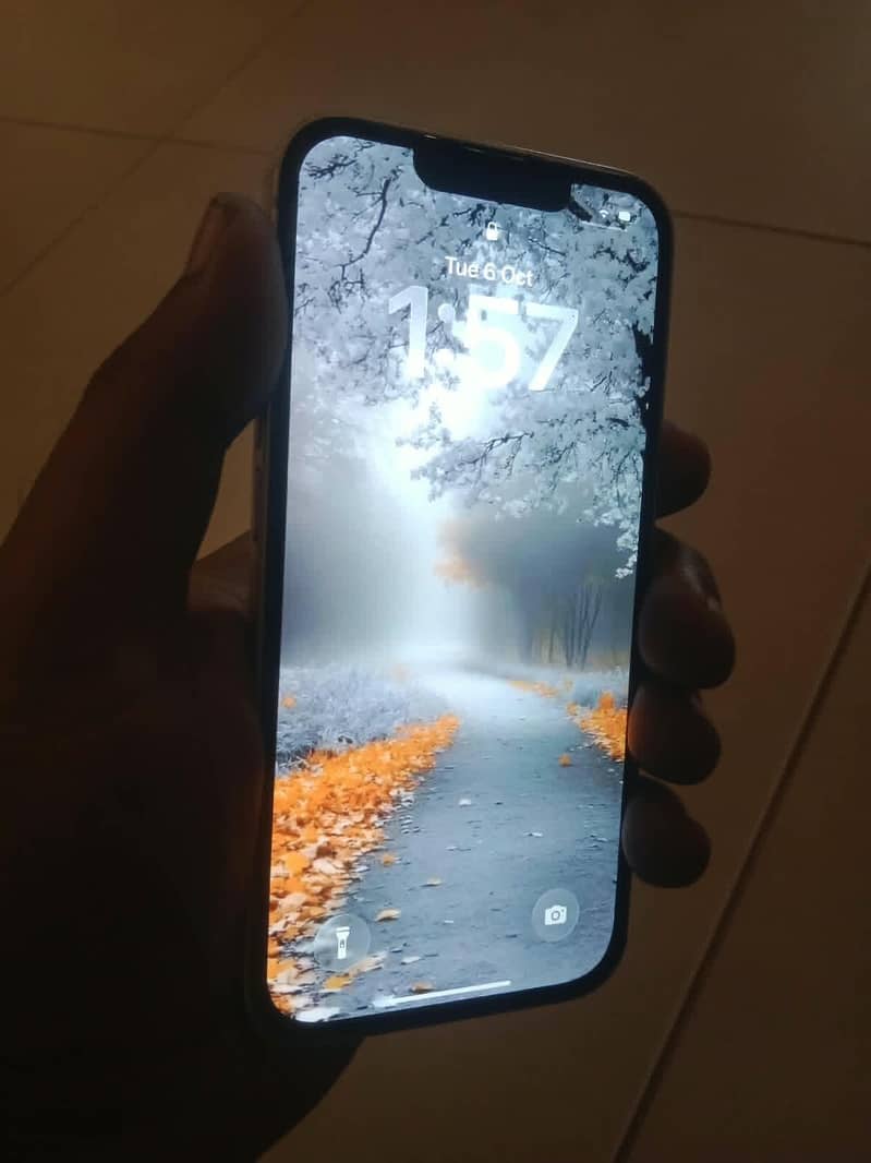 Apple iPhone 13 6