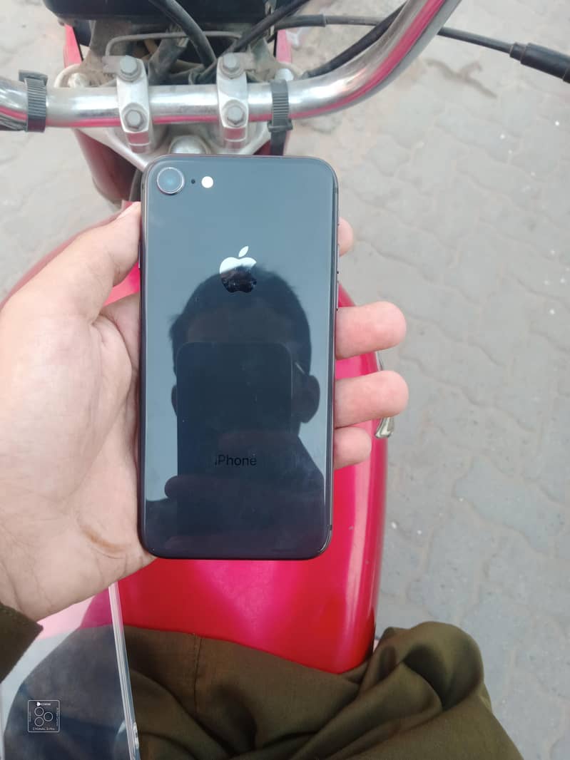 Apple iPhone 8 0