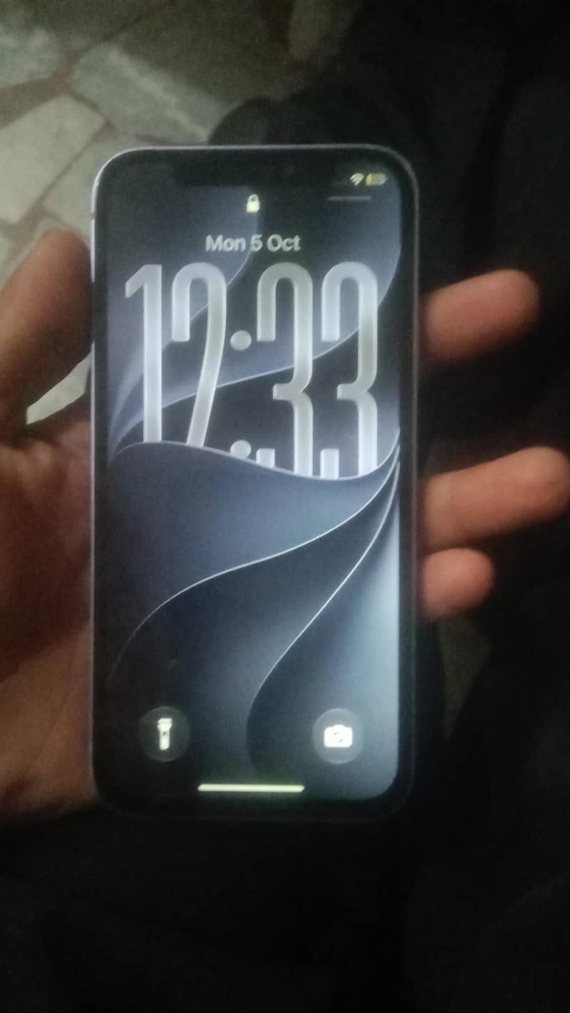 Apple iPhone 12 0