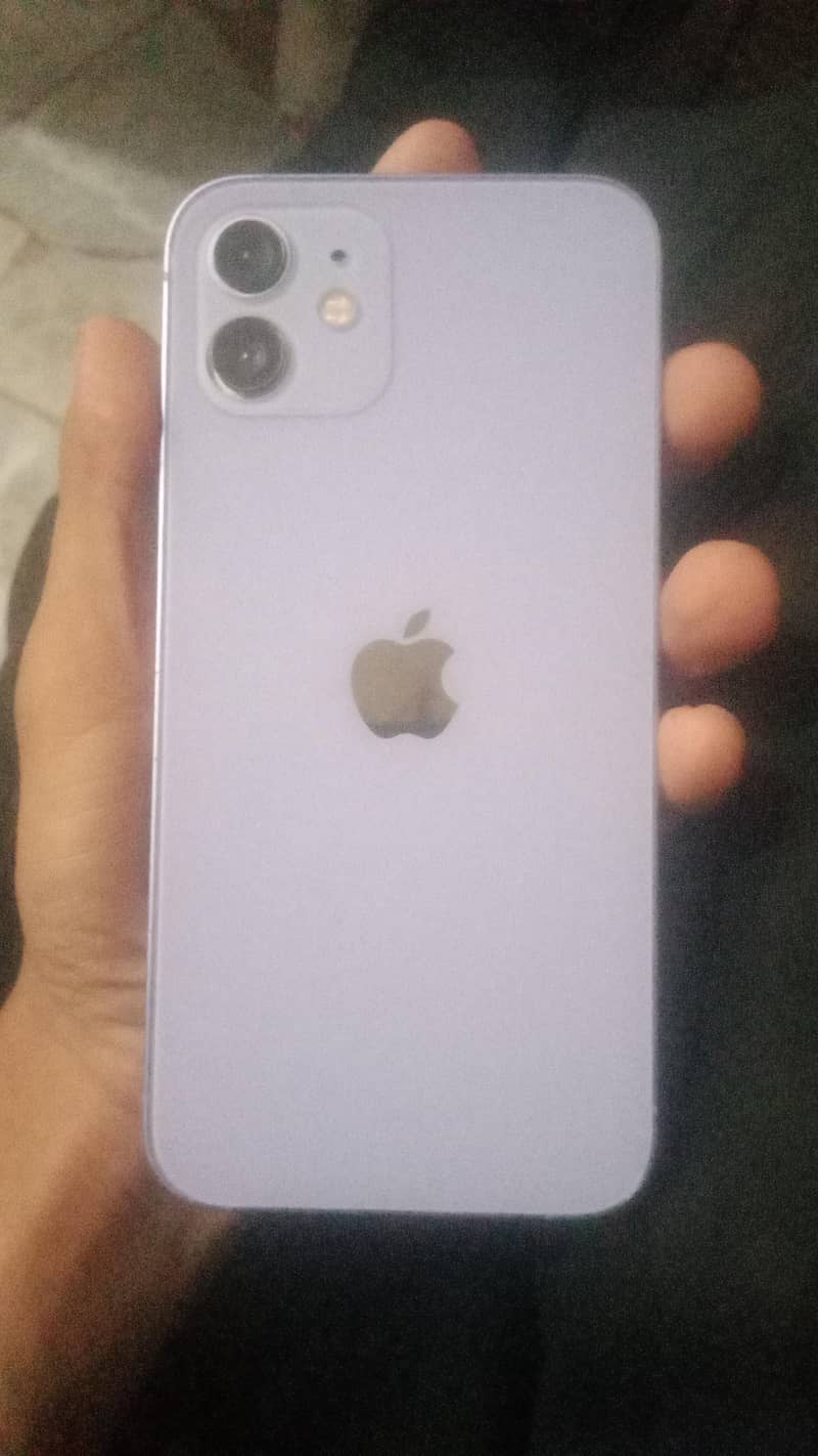 Apple iPhone 12 1