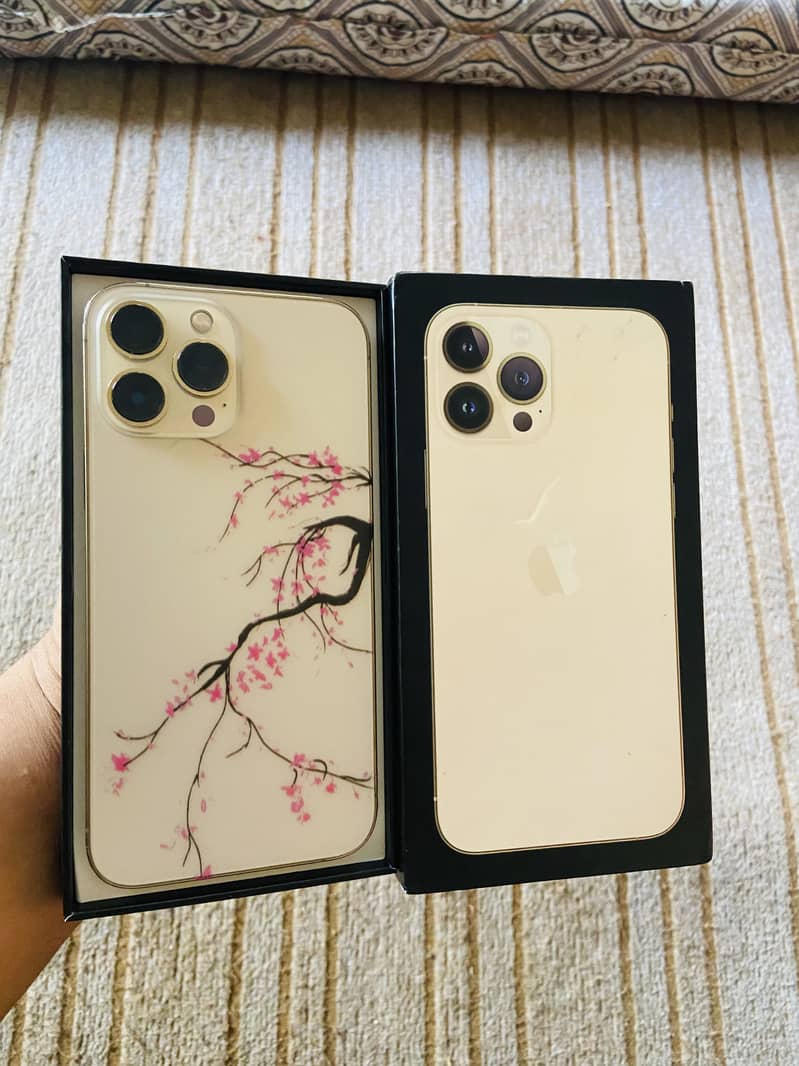Apple iPhone 13 Pro Max 0