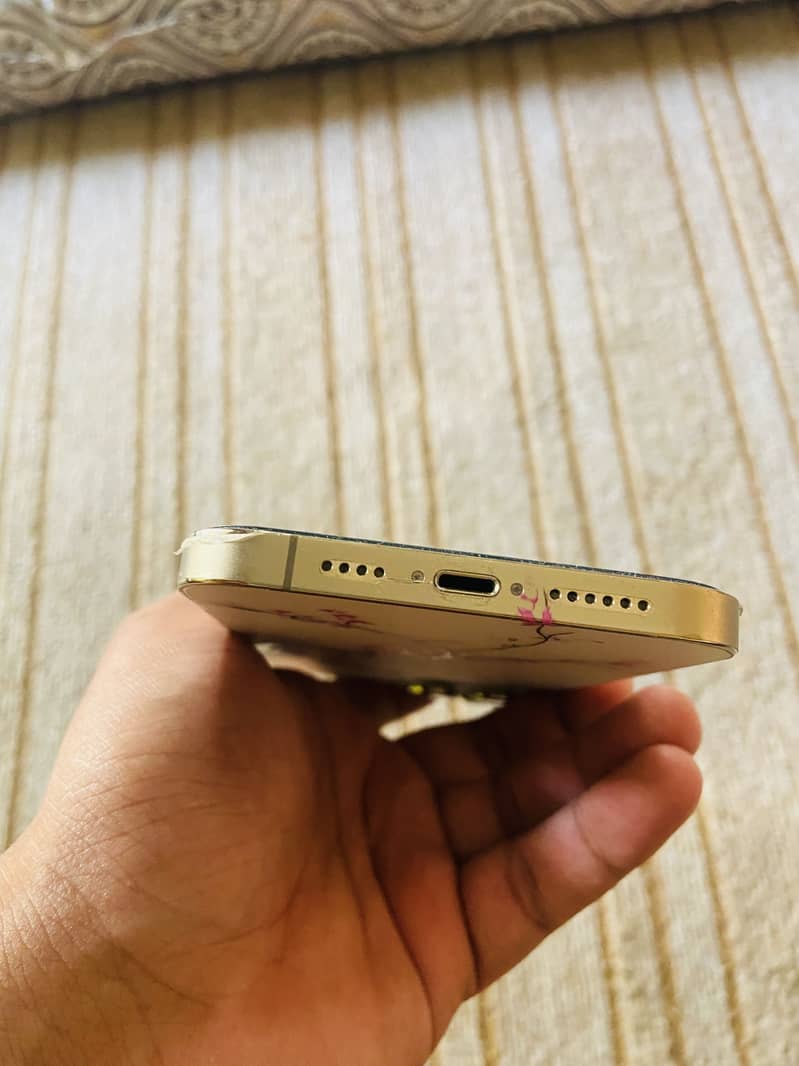 Apple iPhone 13 Pro Max 1