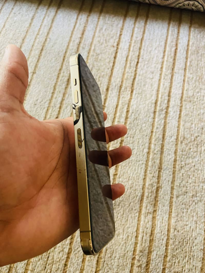 Apple iPhone 13 Pro Max 3
