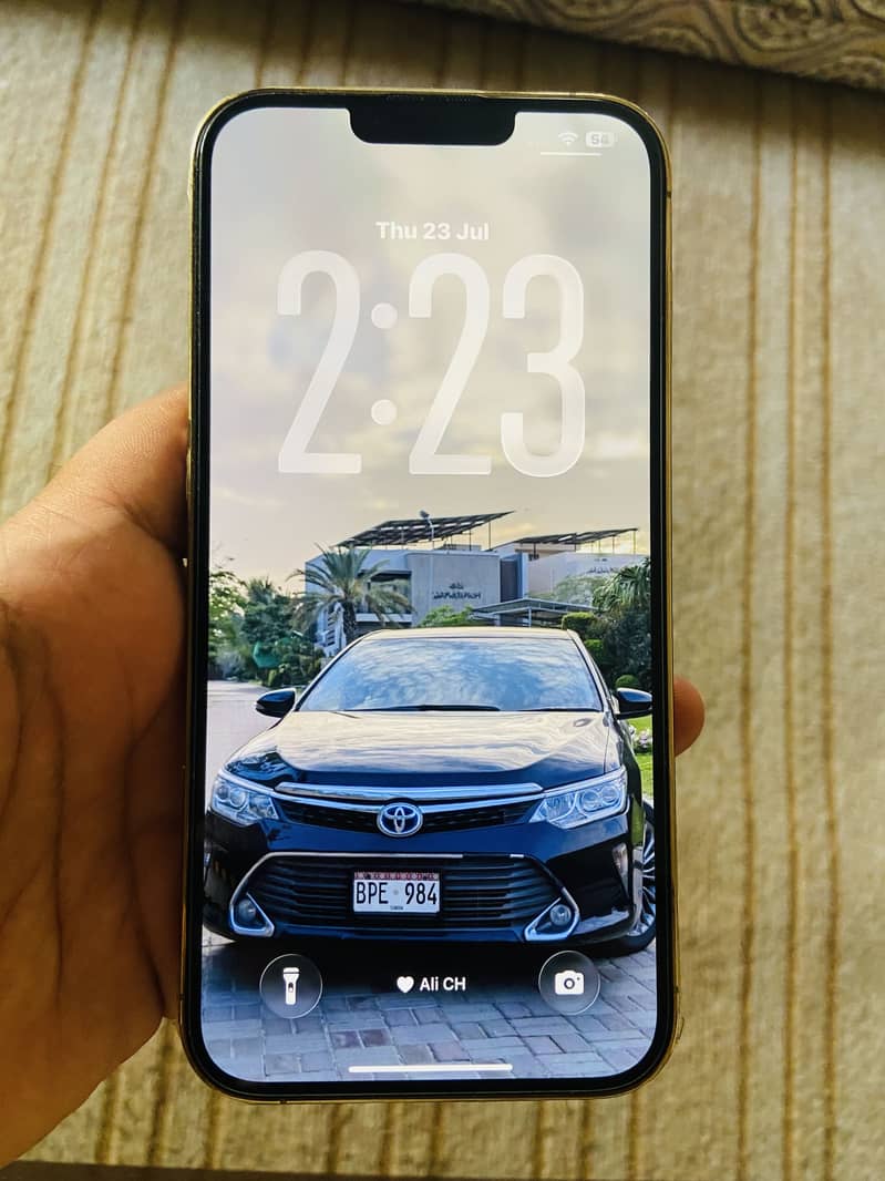 Apple iPhone 13 Pro Max 6
