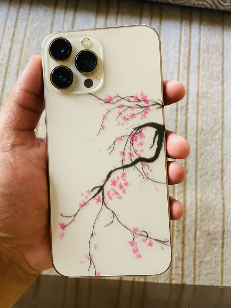 Apple iPhone 13 Pro Max 7