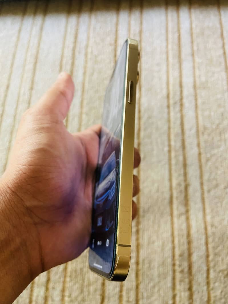 Apple iPhone 13 Pro Max 9