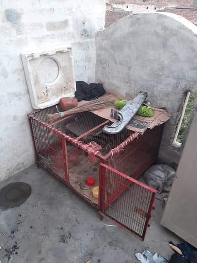 Cage pinjra for sale