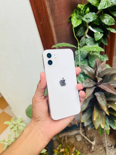 Apple iPhone 12
