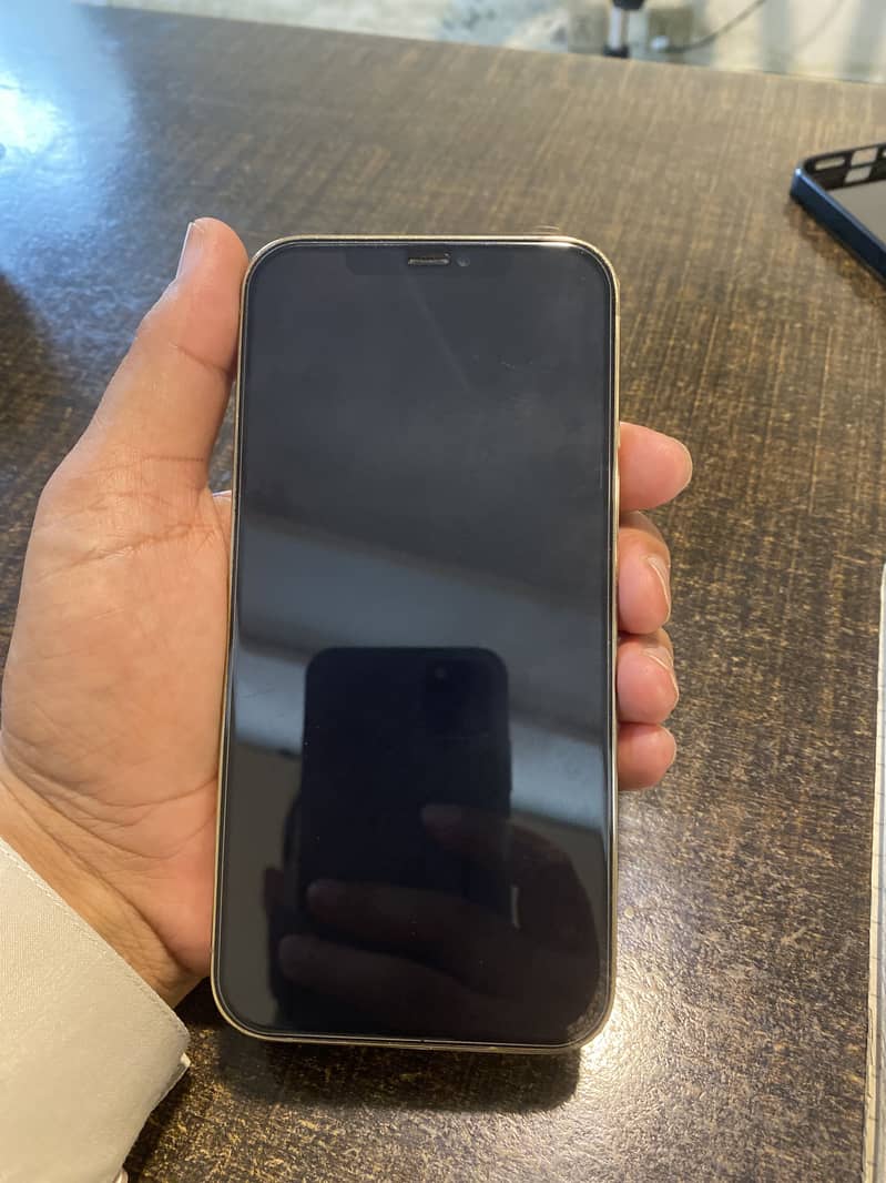 Apple iPhone 12 Pro Max 1