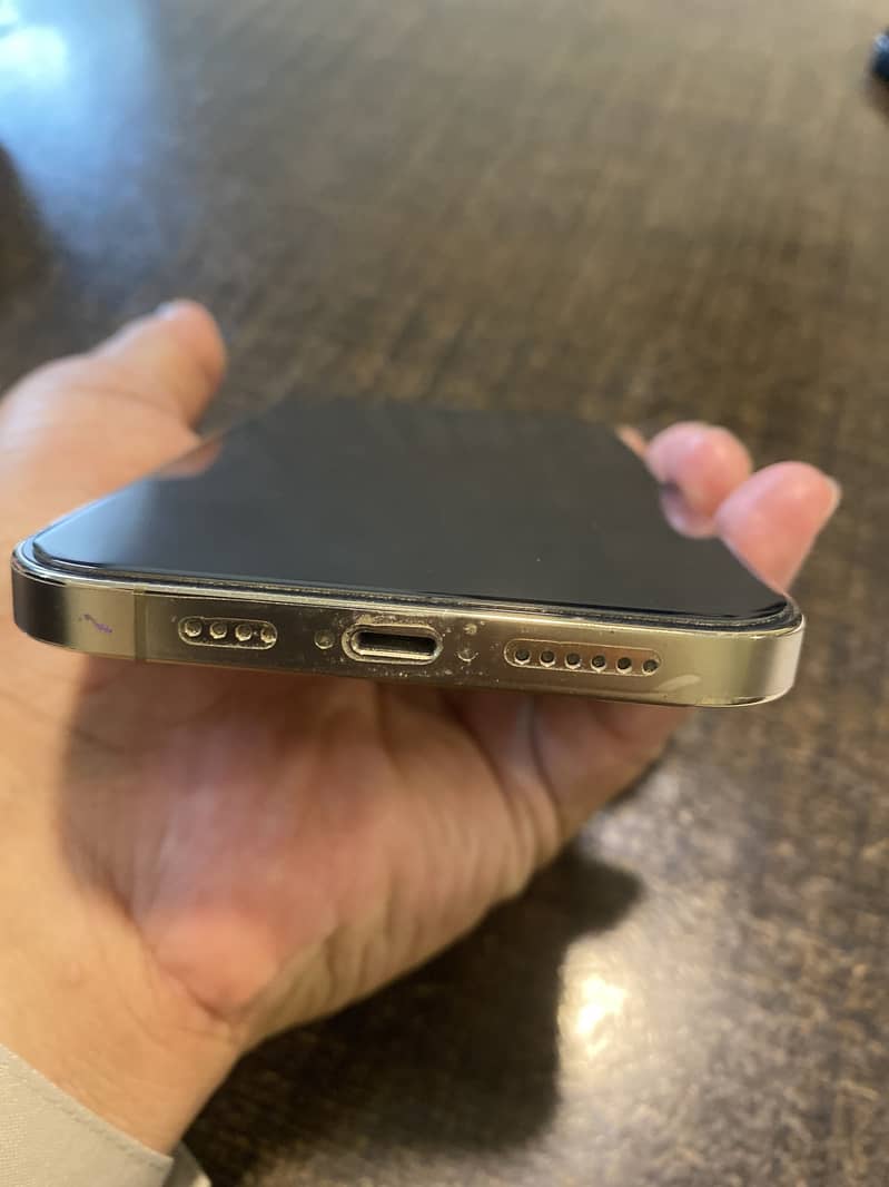 Apple iPhone 12 Pro Max 2