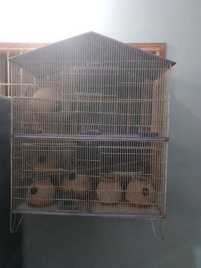 parrot cage