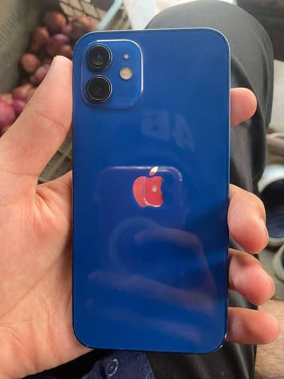 Apple iPhone 12