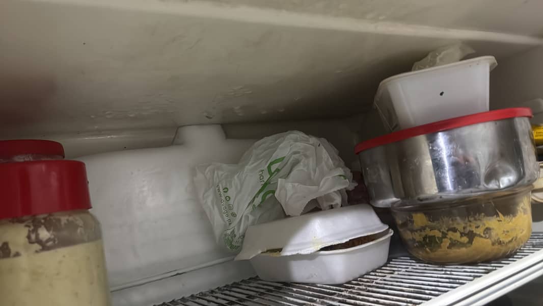Dawlance Large Size Fridge 9