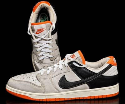 Nike Dunk Low