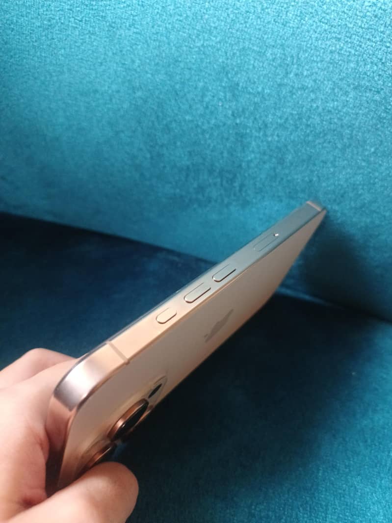Apple iPhone 16 Pro 3